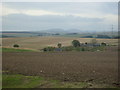 Farmland near Darnabo Farm