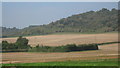 View of the North Downs