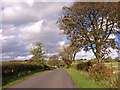 Minor Road near Auchentiber Farm