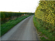 SU0296 : Quiet lane north of Shorncote by Brian Robert Marshall