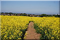 Footpath to Lower Halstow