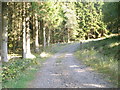 Gate at the start of the forestry road that runs above Loch Eck