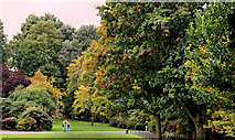 J3372 : Autumn, Botanic Gardens, Belfast (2) by Albert Bridge