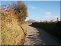 Road north of Bronphilip Farm