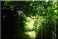 Overgrown footpath by the railway