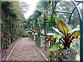 Path at the bottom of the garden