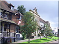 Rowan trees in Robertsbridge village centre