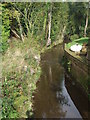 Stream at Newbridge, Ashdown Forest