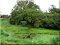 Stagnant water at Soldierstown