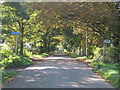 Autumnal walk along Fox Hill Road