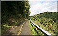 Narrow Road from Ruthernbridge towards Polbrock