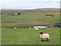 Farmland around Cowburn Rigg