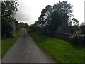 Derelict Cottage by Hillview Cottage