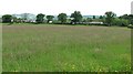 Hay field, Gartocharn