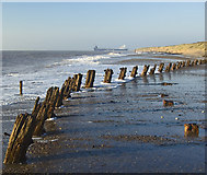 TA4011 : Spurn beach posts by Paul Harrop