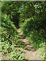 Bridleway near Nurton, Staffordshire