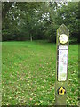 North Downs path marker in Farthing Common