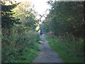 Horserider on a track in park Wood