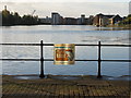 Private Fishing - Bute East Dock