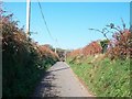 The lane westwards towards the Tyddyn Rhys crossroads