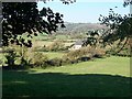 View into the upper part of the Llaniestyn gorge from Lon 