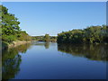 The Severn near Eye Farm