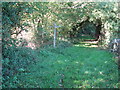 Waymarker for bridleway and footpath in Round Wood