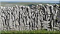 M1407 : Limestone walls in the Burren above Fanore by David Saunders