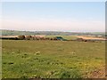 View west across farmland at Mur Serchog