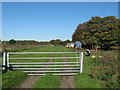 Bridle gate near Exted Farm