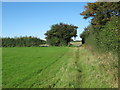 Footpath towards Magpie Lane