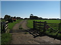 Track near Great Shuttlesfield Farm