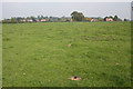 Meadows near Longdon Heath