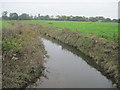 River Morda south of Maesbrook