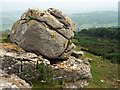 Penrhynside Limestone Boulder