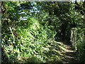 North Downs Way beside Crete Road West