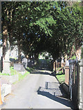 SH6266 : Church Path at Christ Church Bethesda by John Firth