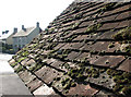 Fulbourn: October sunlight on mossy lychgate tiles