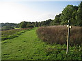 Footpath around Arlington Reservoir