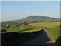 Lane near Brynderi