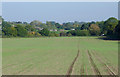 SO8498 : Crop field east of Great Moor, Staffordshire by Roger  D Kidd