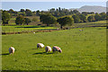 Fields east of Deildre