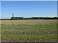 Fields to the NE of the road to Buckland Farm