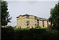 Riverside apartments near Barnes Wetland