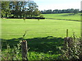 Footpath through Sibton Park Pitch and Putt Golf course