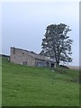 Barns on the hillside