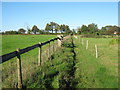 Footpath to White Horse Lane