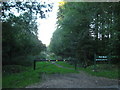 Woodland Track in Park Wood