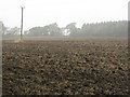 NT0474 : Ploughed field near Ochiltree by M J Richardson