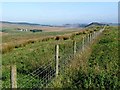 Gibbs Hill Farm and the valley of the Caw Burn